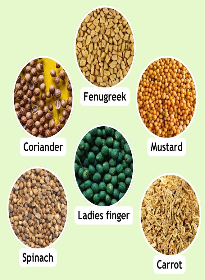 تالي أقلام رصاص تالي قابلة للزراعة مع غطاء - مجموعة من 5 أقلام | صديقة للبيئة | مثالية للأطفال والطلاب | للأفراد المهتمين بالبيئة | تتميز بقلم رصاص فريد من نوعه مملوء بالبذور يمكن زراعته لينمو - Image 5